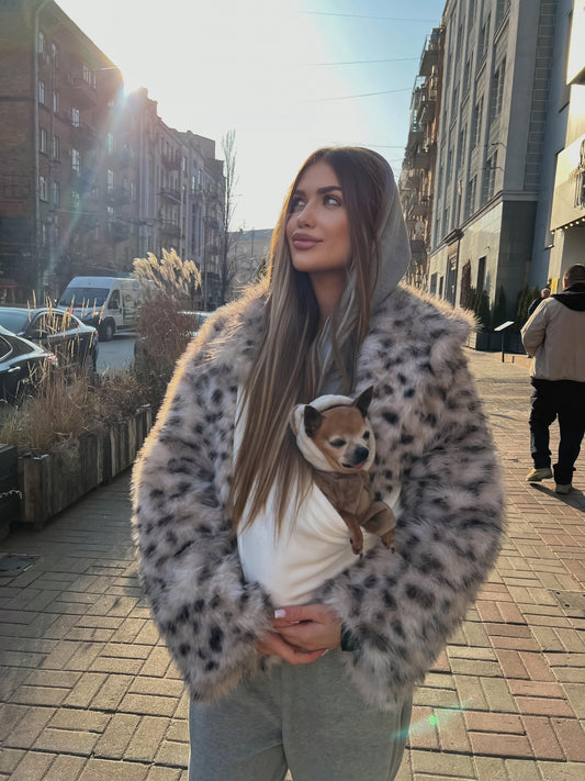 Best Dog Sling for Chihuahua (2026 Guide) | Comfortable & Secure Carriers