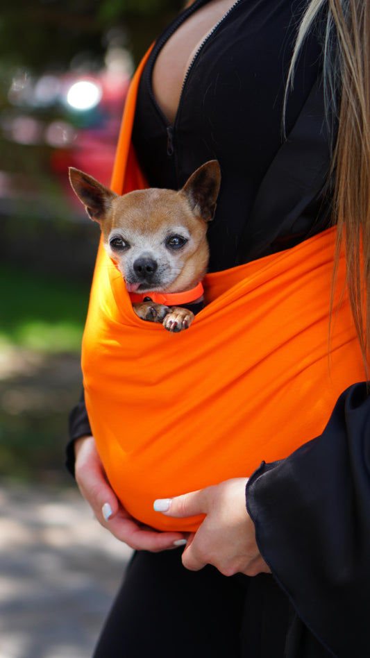 Best Dog Carrier for Chihuahua | Ultra-Light Sling Guide 2026