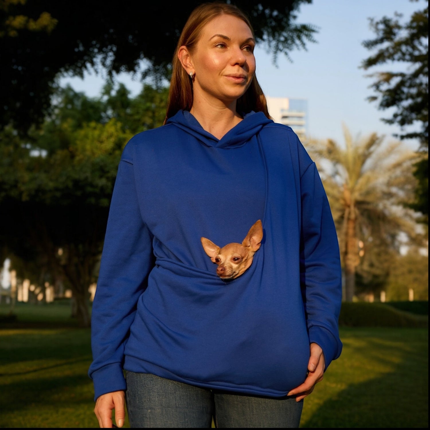 Dog Carrier Hoodies