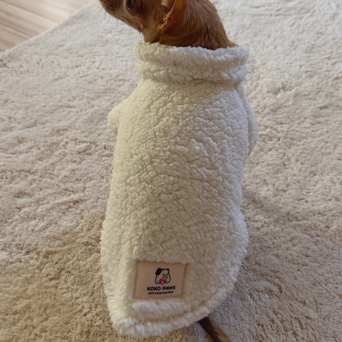 Milky Teddy Dog Vest | Warm Jacket for Small Dogs
