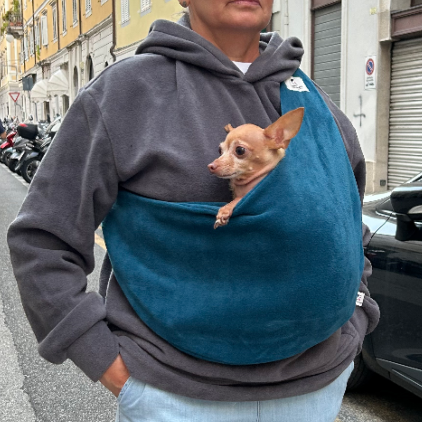 Fleece Pet Sling Carrier – Blue – 2-15 lbs / 1-7 kg (Autumn/Winter)