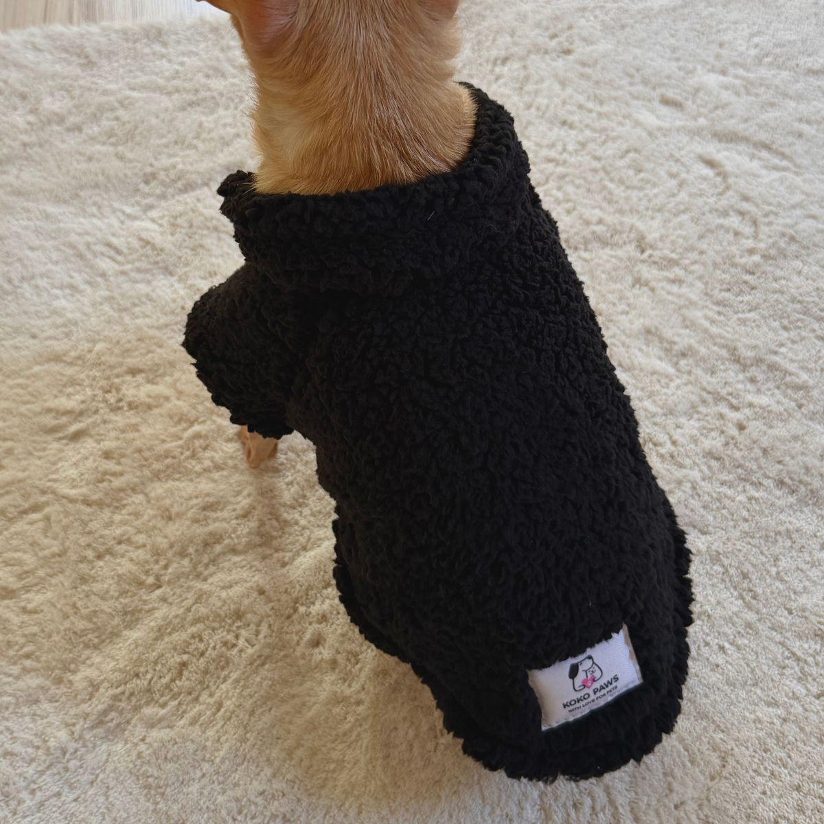 Black Teddy Dog Vest | Warm Jacket for Small Dogs