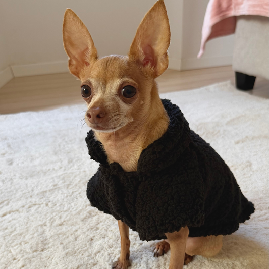 Black Teddy Dog Vest | Warm Jacket for Small Dogs