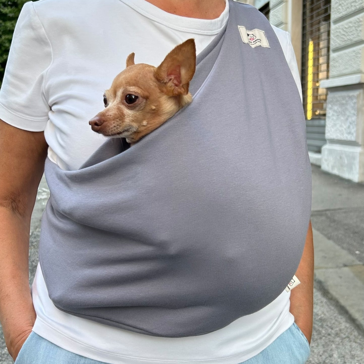 Lightweight Pet Sling – Gray- 2–11 lbs / 1–5 kg (Spring/Summer)