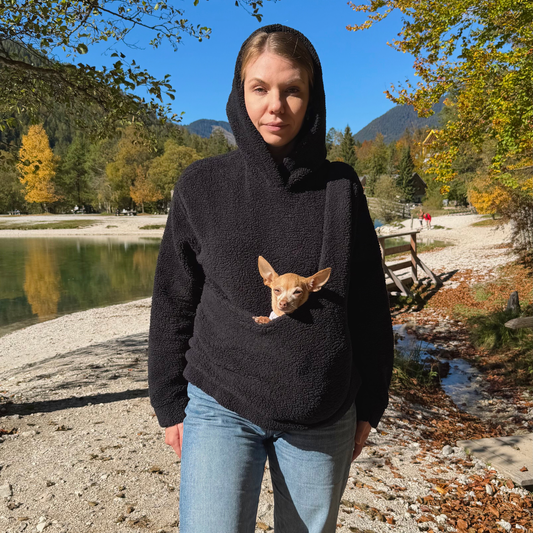 Teddy Kangaroo Hoodie Carrier - Black - 2-15 lbs / 1-7 kg (Autumn/Winter)
