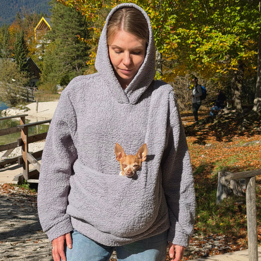 Teddy Kangaroo Hoodie Carrier - Gray- 2-15 lbs / 1-7 kg (Autumn/Winter)