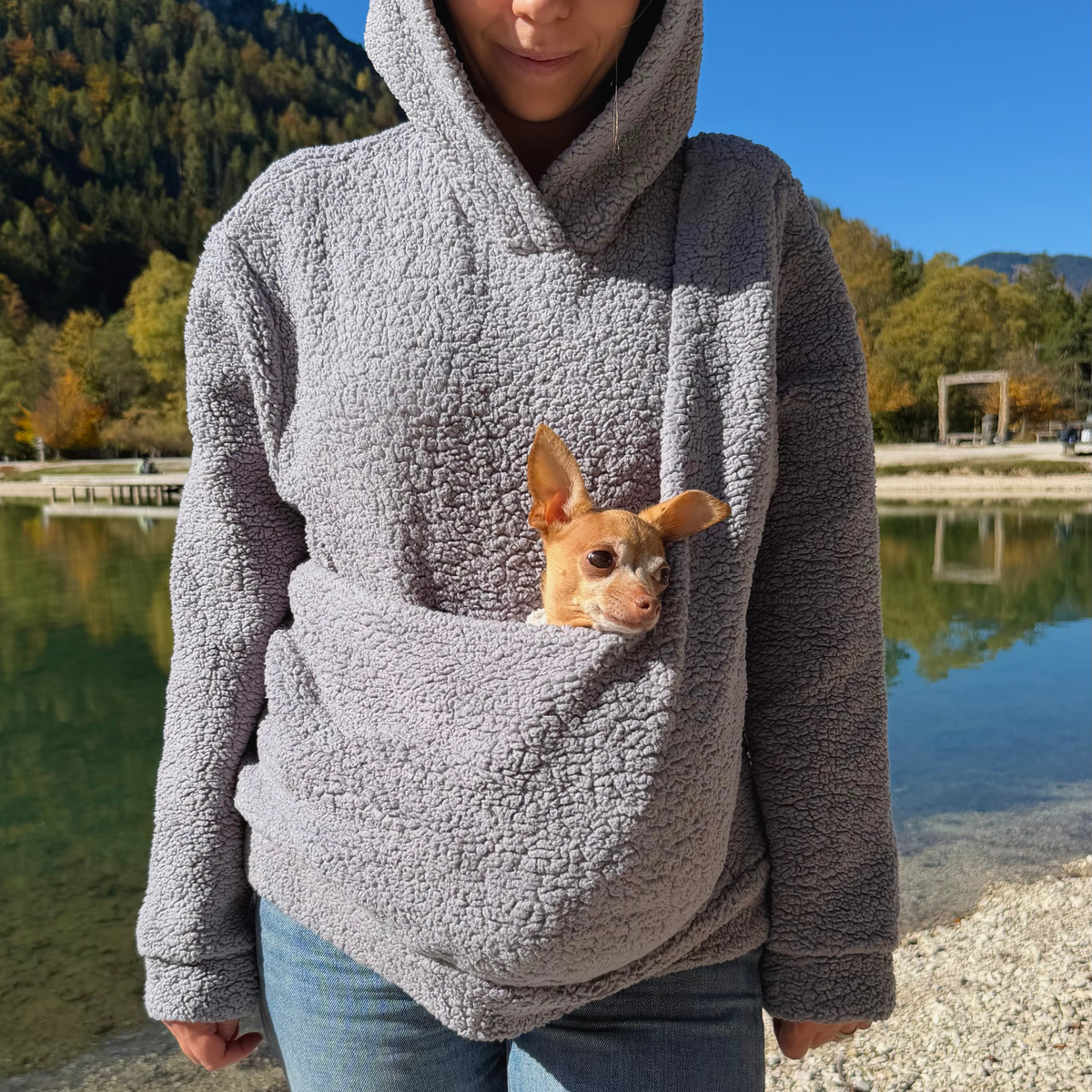 Teddy Kangaroo Hoodie Carrier - Gray- 2-15 lbs / 1-7 kg (Autumn/Winter)