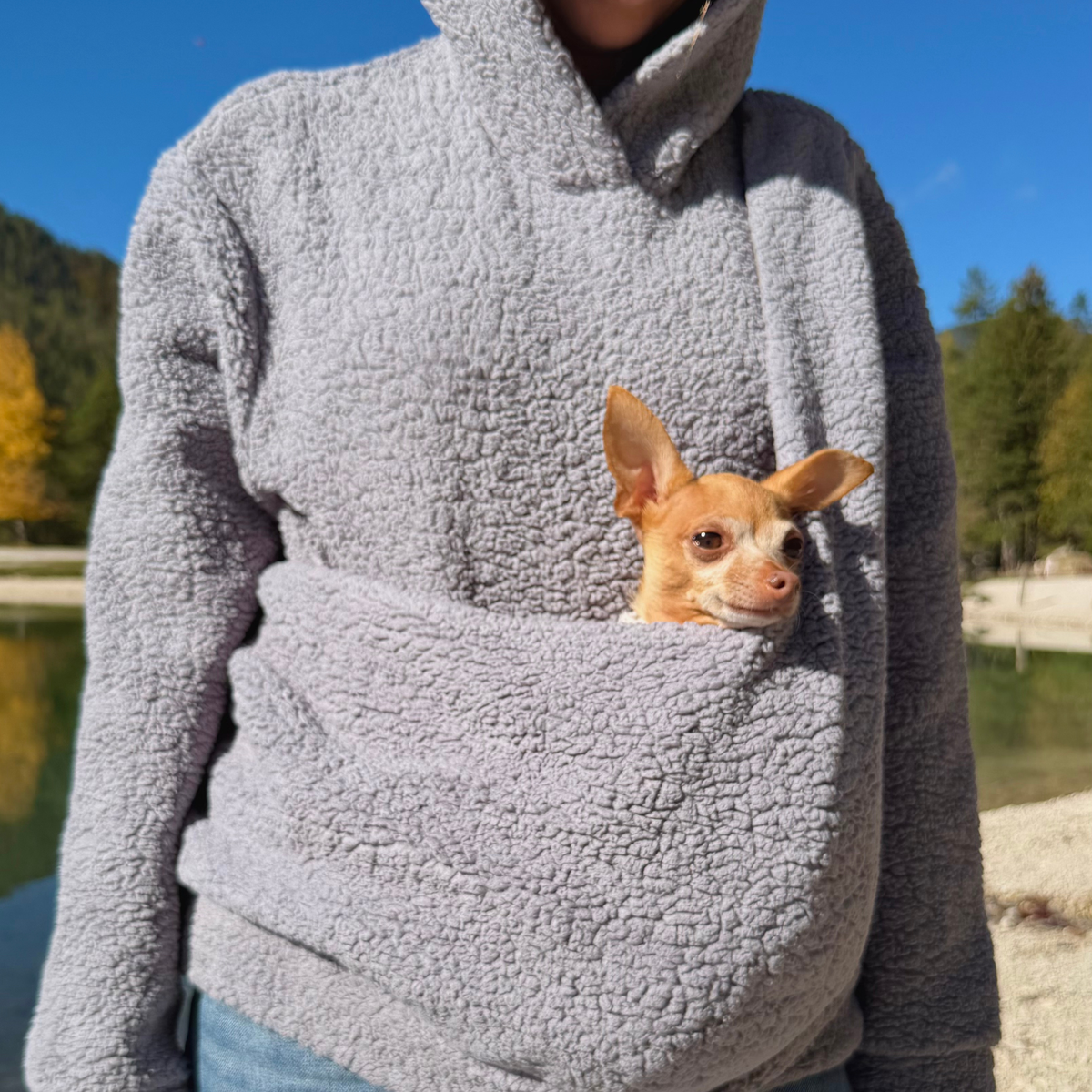 Teddy Kangaroo Hoodie Carrier - Gray- 2-15 lbs / 1-7 kg (Autumn/Winter)