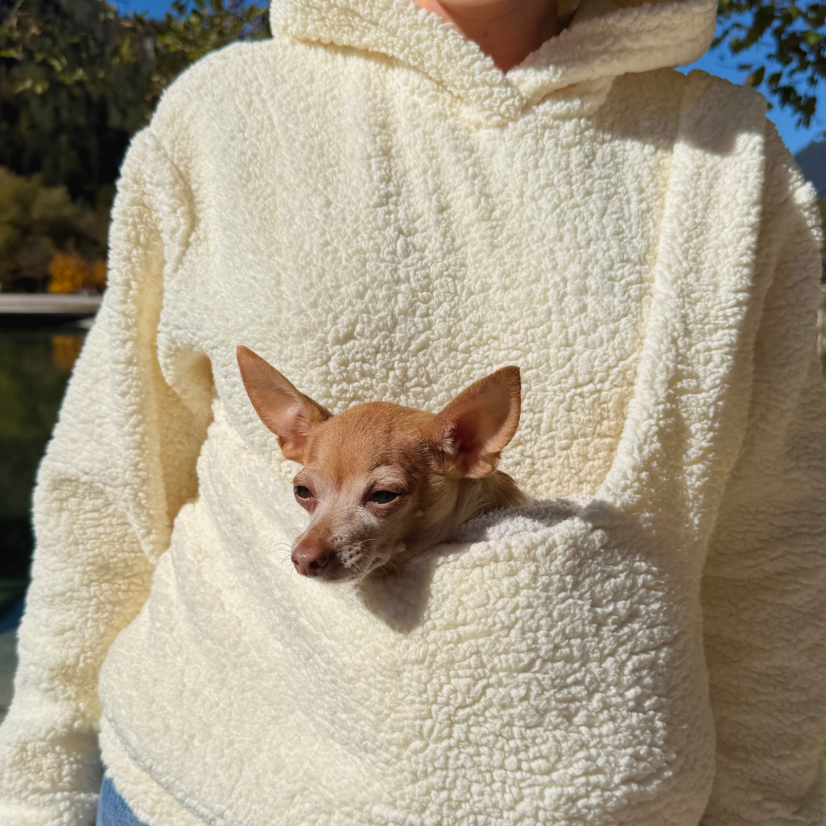Teddy Kangaroo Hoodie Carrier - Milky - 2-15 lbs / 1-7 kg (Autumn/Winter)