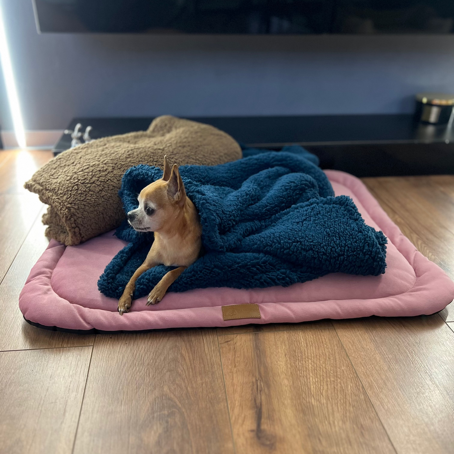 Chihuahua resting on cozy handmade Teddy pet blanket in blue, on pink dog bed