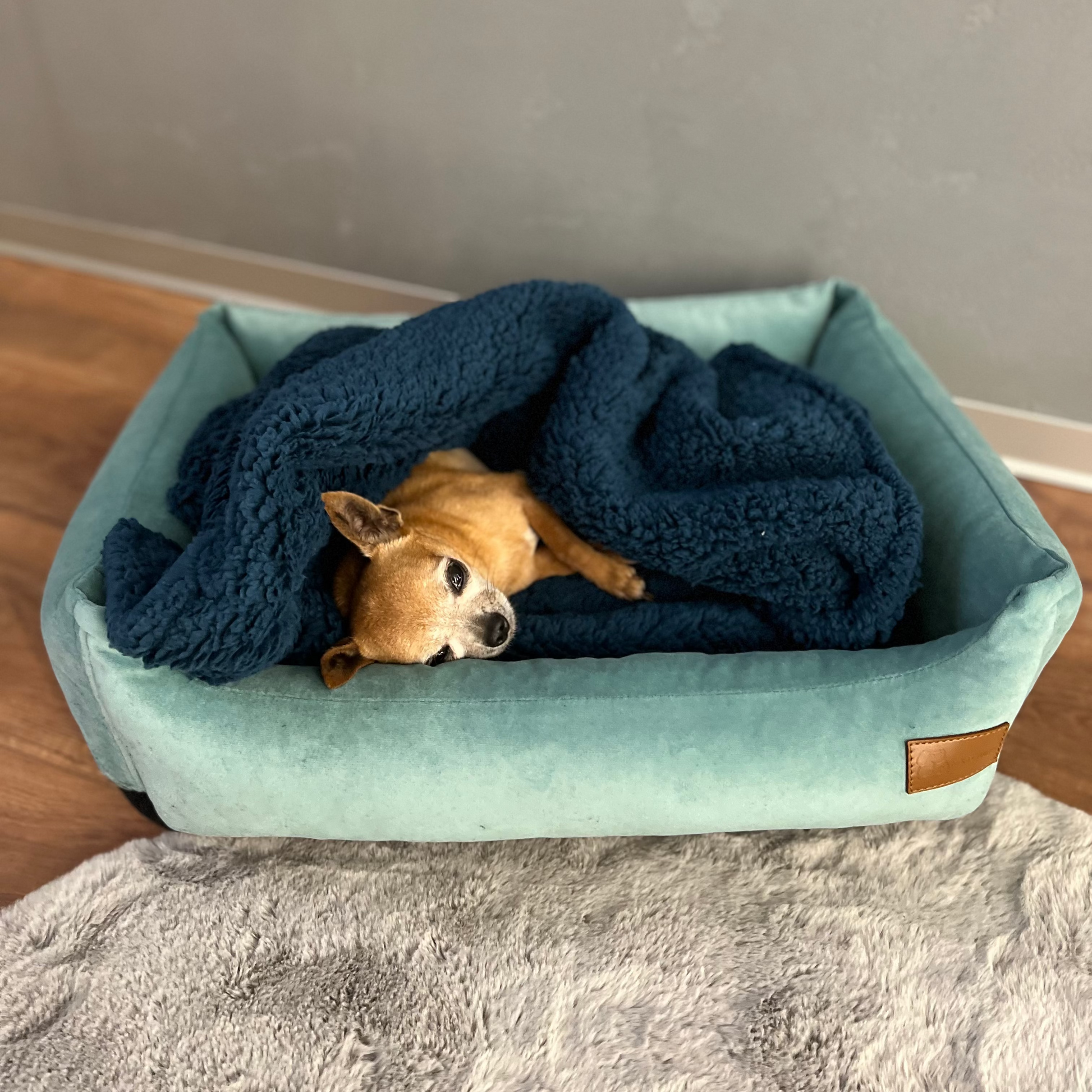 Ultra soft Teddy fabric blanket for dogs and cats, blue cover in teal pet bed
