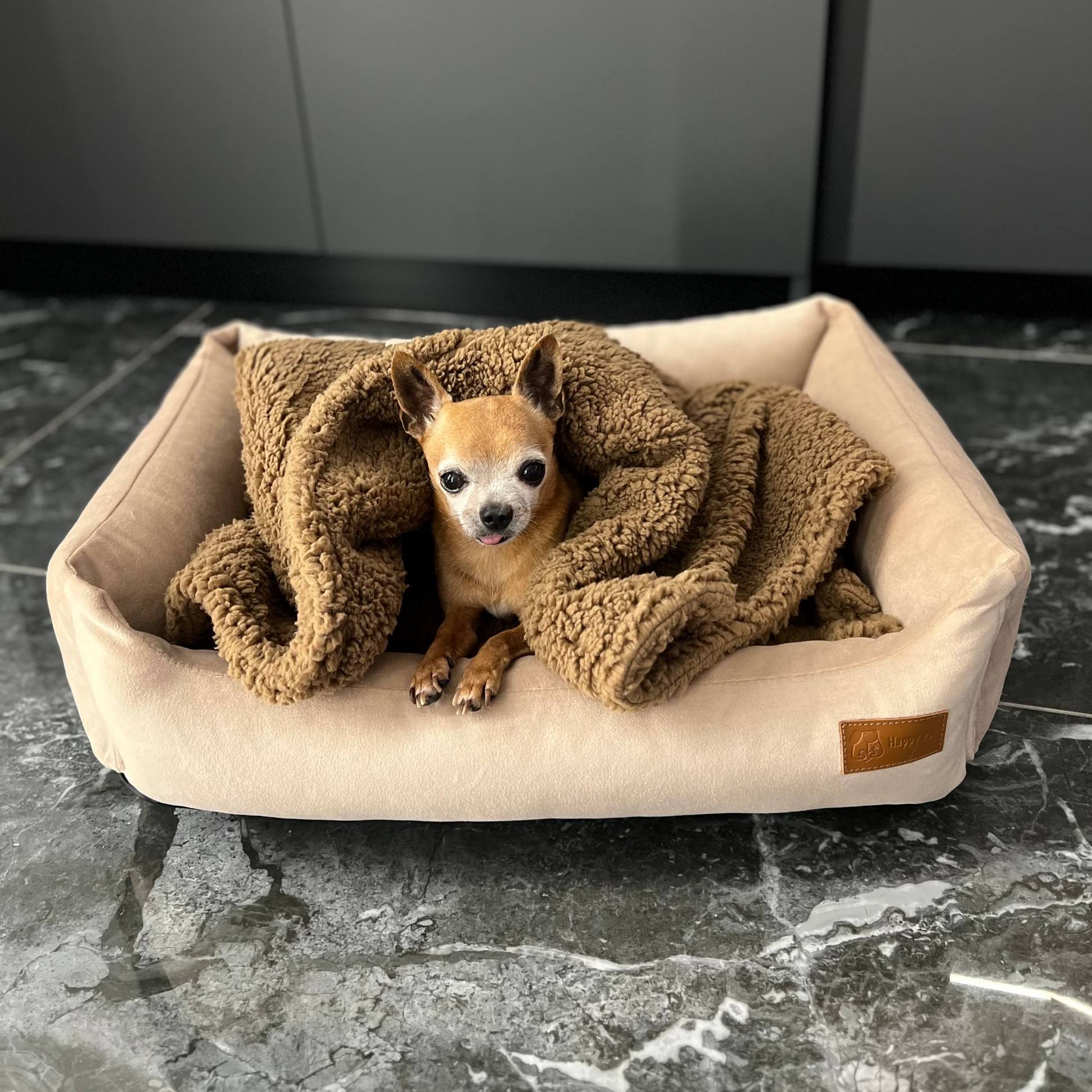 Chihuahua lying in cozy handmade brown Teddy pet blanket inside beige dog bed