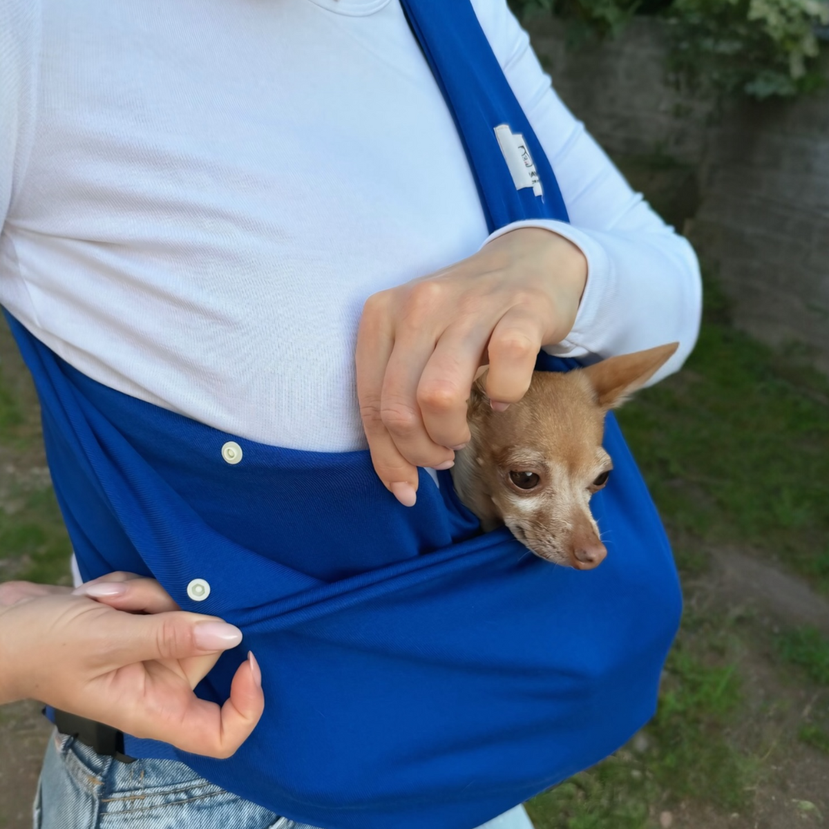 Security Dog Sling – Blue