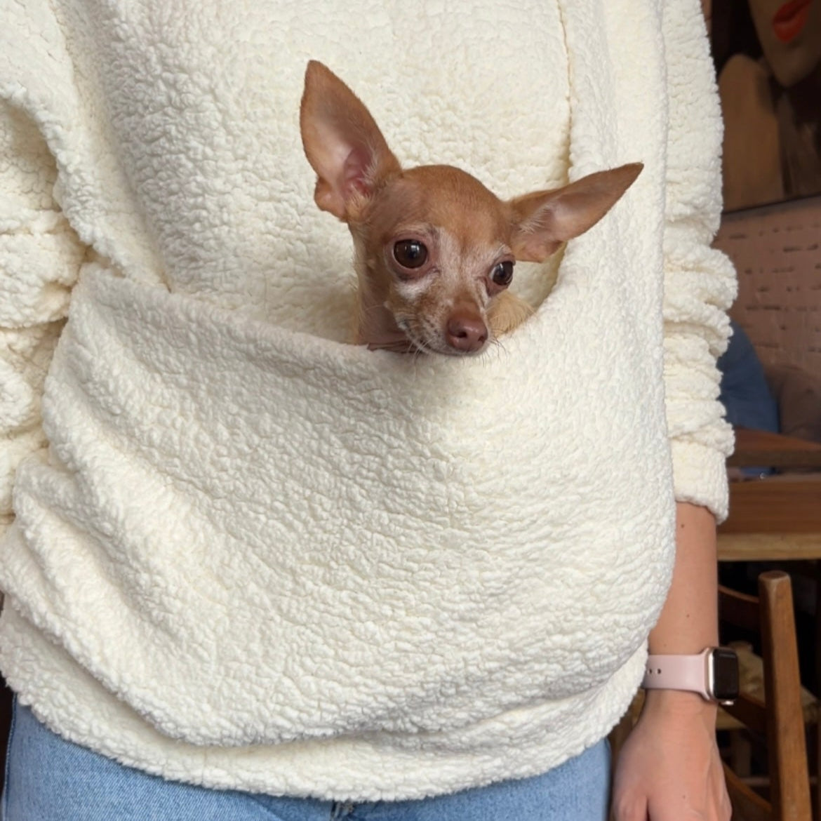 Small dog peeking out from a white fleece pouch worn by a person.
